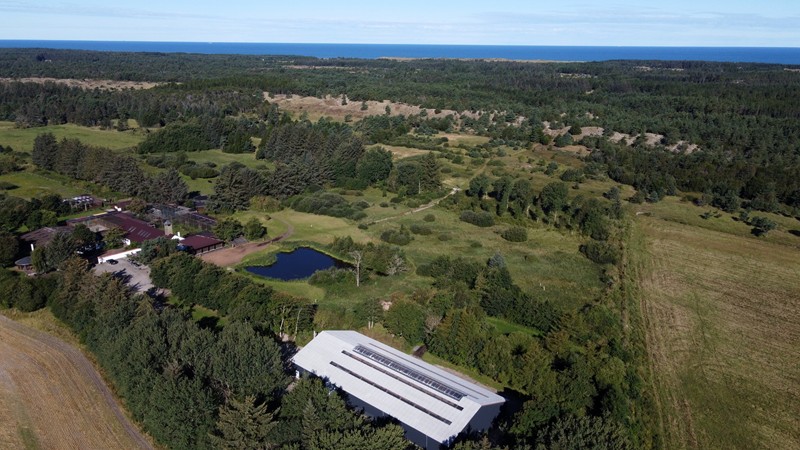 Luftfoto af det nordjyske landskab omkring Ørnereservatet med skov og marker