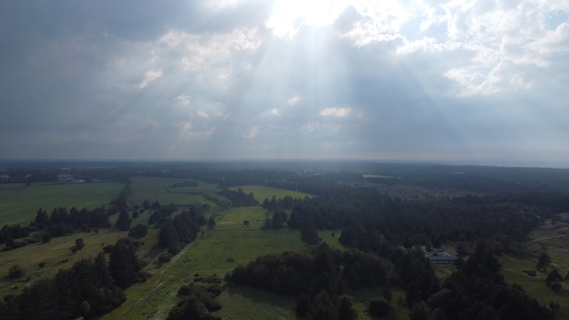 Luftfoto af det nordjyske landskab med skov, marker og solstråler gennem skyerne