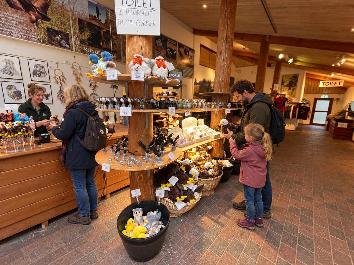 Hylder med ørnefigurer og bløde ugler og ørne, mens en far og hans datter kigger på tøjdyr i butikken