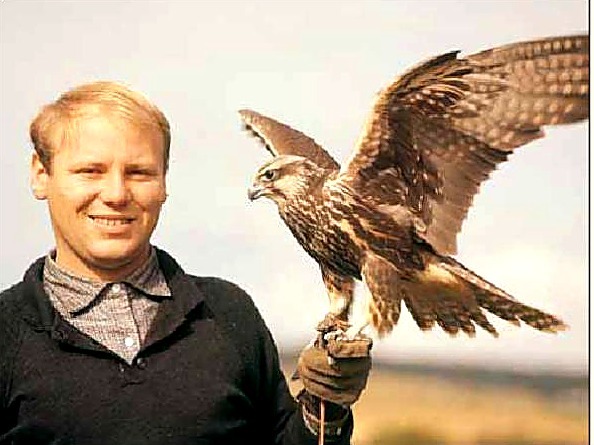 Frank Wenzel som 20-årig med en af de første sakerfalke i Danmark.