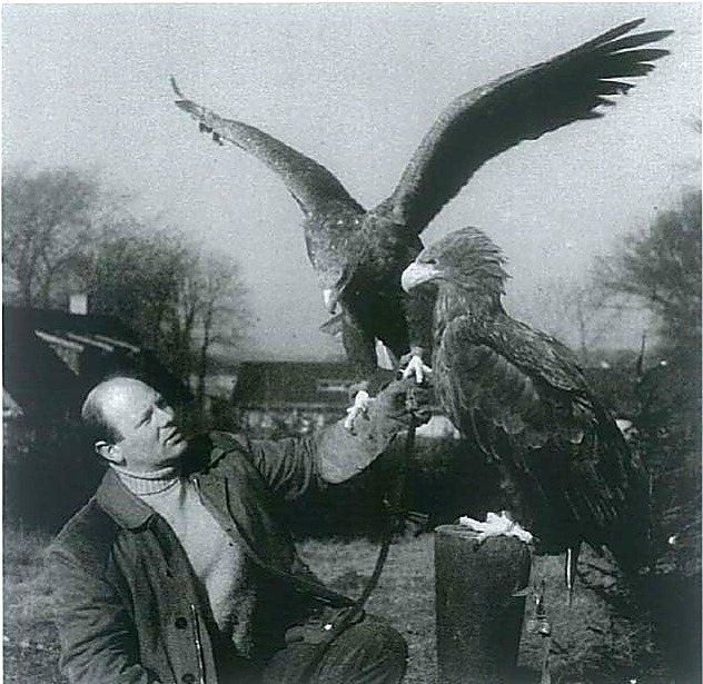 Frank Wenzel med to unge havørne på Arresø Naturcenter.