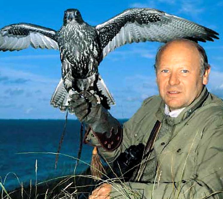 Frank Wenzel i Råbjerg Stene med jagtfalken Sultana.