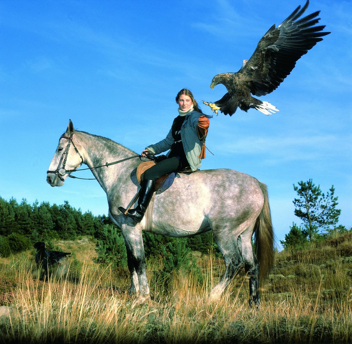 Edith, aged 17, on horseback with an eagle, around 1980