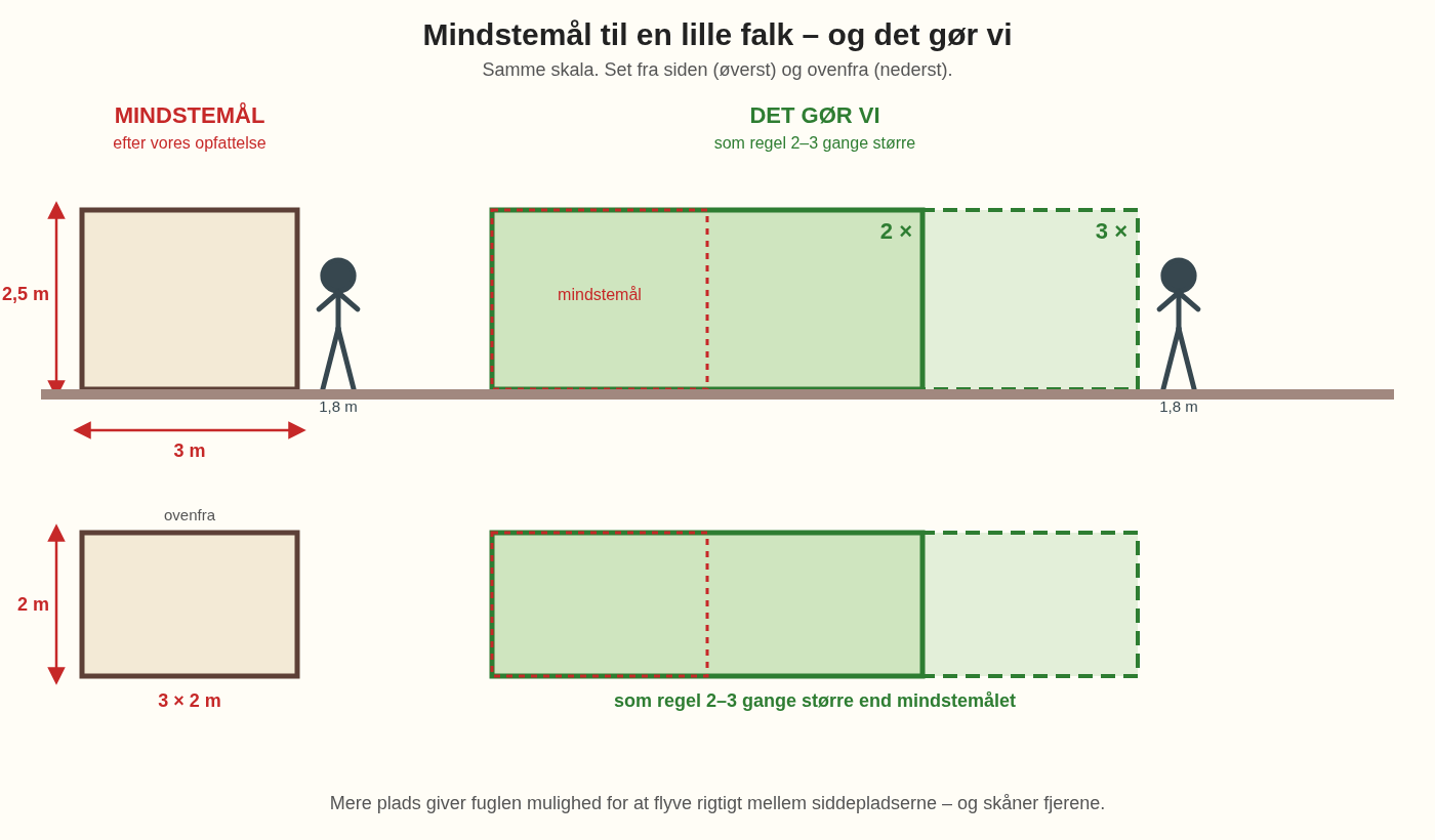 Tegning i samme skala: mindstemål til en lille falk ved siden af vores volierer, som regel 2–3 gange større, med en person som målestok