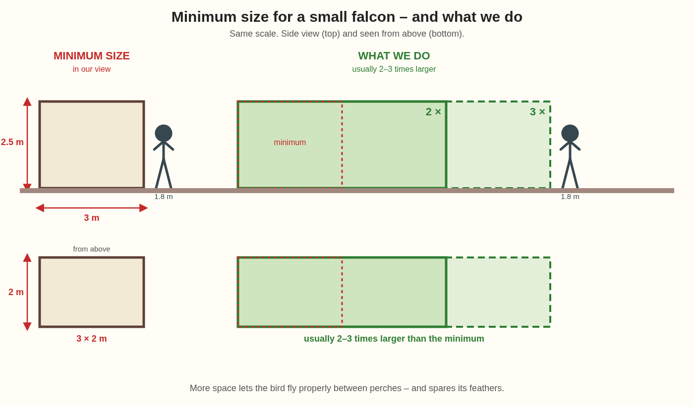 Drawing to the same scale: the minimum size for a small falcon next to our aviaries, usually 2–3 times larger, with a person for scale