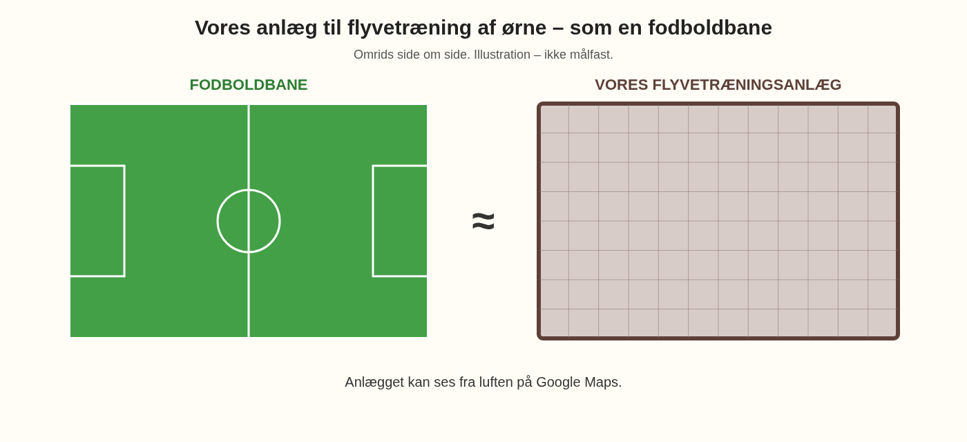 Omrids af en fodboldbane ved siden af Ørnereservatets anlæg til flyvetræning af ørne