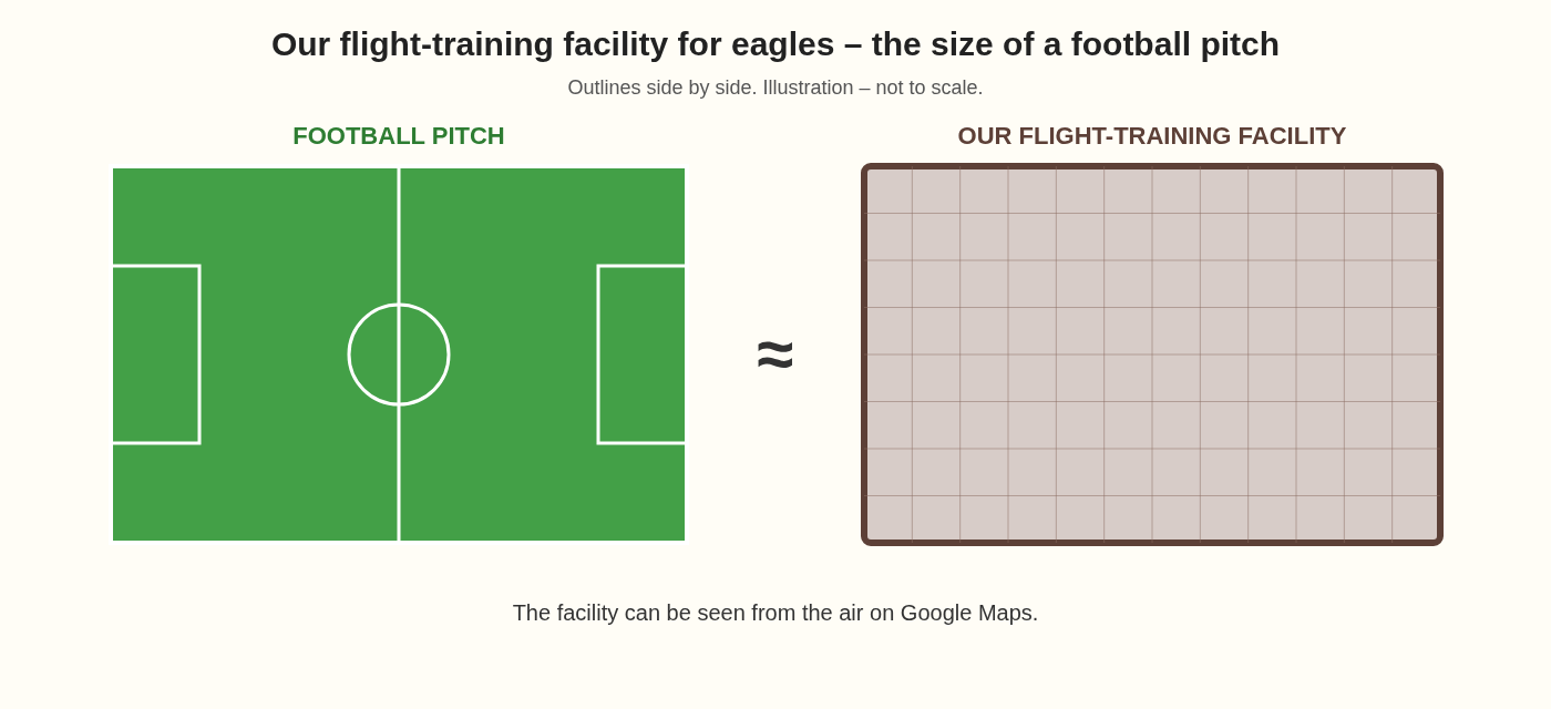Outline of a football pitch next to Ørnereservatet's flight-training facility for eagles
