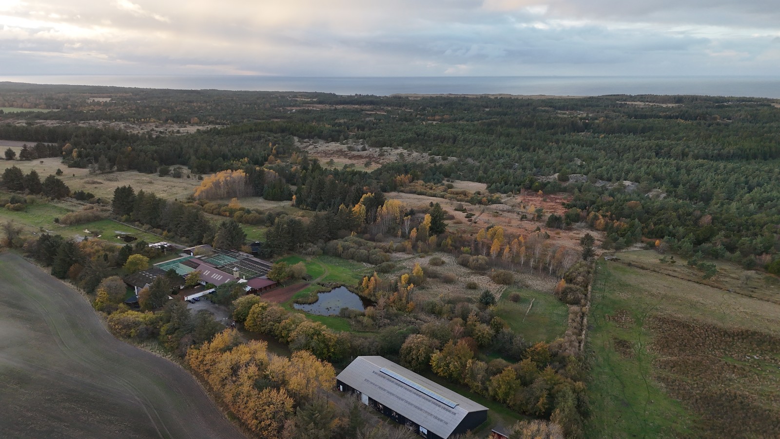 Dronefoto af Ørnereservatet set fra luften