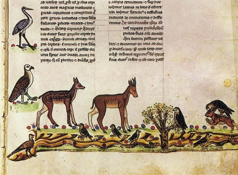 Margen med fugle og hjorte. Pal. lat. 1071 (Public Domain, Wikimedia Commons)